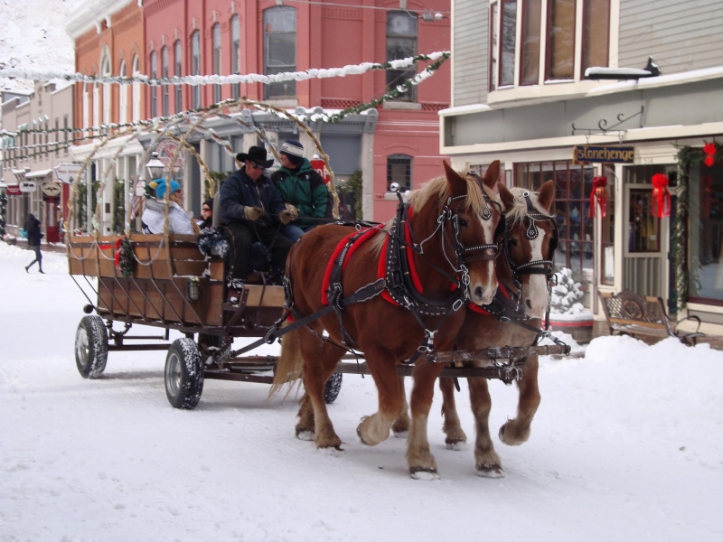 The 55th Annual Georgetown Christmas Market via Historic Georgetown